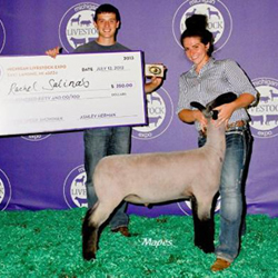 3rd Overall - MLE