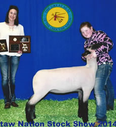 Steva Robinson Champion