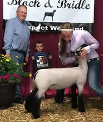 Steva Robinson Champion