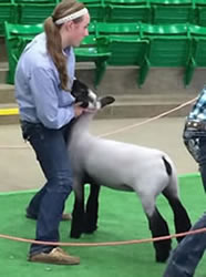Steva Robinson Champion