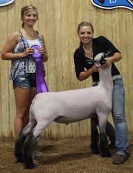 Steva Robinson Champion