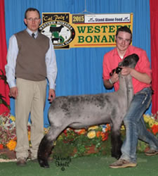 Steva Robinson Champion