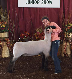 Steva Robinson Show Stock Winners