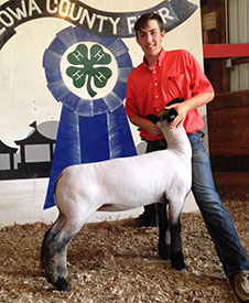 Steva Robinson Show Stock Winners