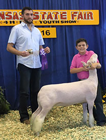 Steva Robinson Show Stock Winners