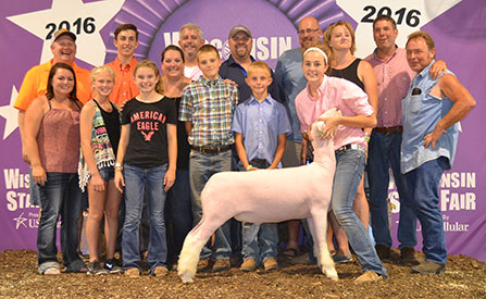 Steva Robinson Show Stock Champion