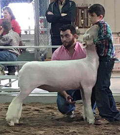 Steva Robinson Show Stock Winners