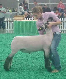 Steva Robinson Show Stock Winners
