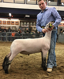 Steva Robinson Show Stock Winners
