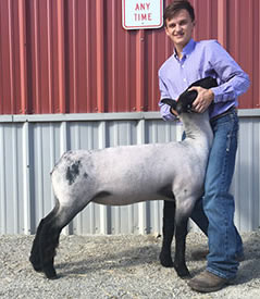 Steva Robinson Show Stock Winners