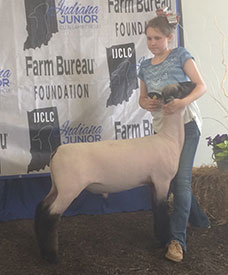 Steva Robinson Winner