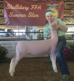 Steva Robinson Show Stock Winners
