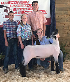 Steva Robinson Show Stock Winners
