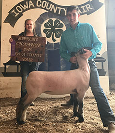 Steva Robinson Show Stock Winners