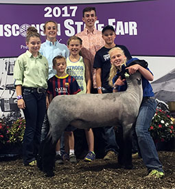 Steva Robinson Show Stock Winners