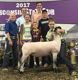 Steva Robinson Show Stock Winners