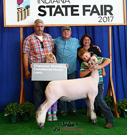Steva Robinson Show Stock Winners