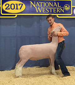 Steva Robinson Show Stock Winners