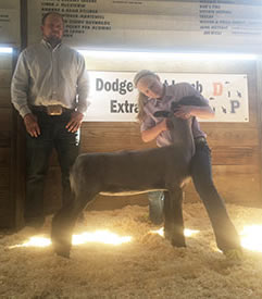 Steva Robinson Show Stock Winners