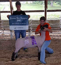 Steva Robinson Show Stock Winners