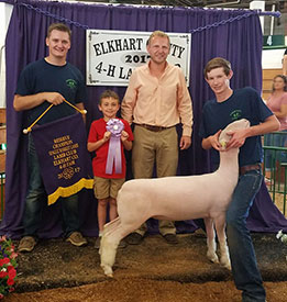 Steva Robinson Show Stock Winners