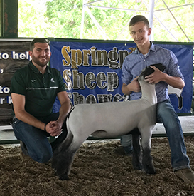 Steva Robinson Show Stock Winners