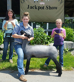 Steva Robinson Show Stock Winners