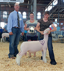 Steva Robinson Show Stock Winners