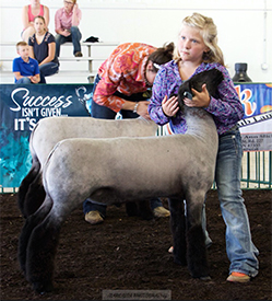 Steva Robinson Show Stock Winners