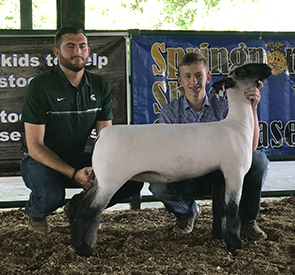 Steva Robinson Show Stock Winners