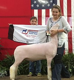 Steva Robinson Show Stock Winners