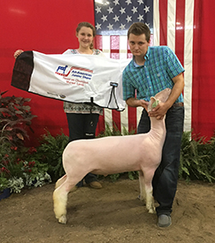Steva Robinson Show Stock Winners