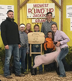 Steva Robinson Show Stock Winners
