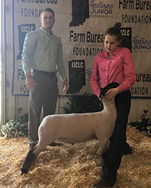 Steva Robinson Show Stock Winners