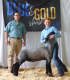 Steva Robinson Show Stock Winners