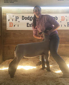 Steva Robinson Show Stock Winners