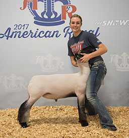 Steva Robinson Show Stock Winners