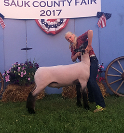 Steva Robinson Show Stock Winners