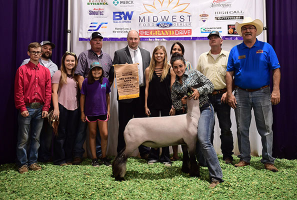 Steva Robinson Show Stock Winners