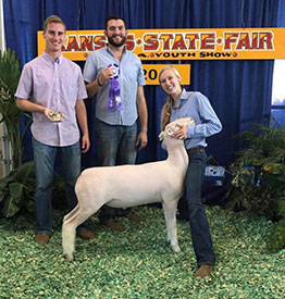 Steva Robinson Show Stock Winners