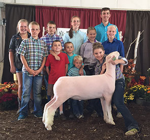 Steva Robinson Show Stock Winners