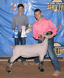 Steva Robinson Show Stock Winners