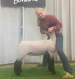 Steva Robinson Show Stock Winners