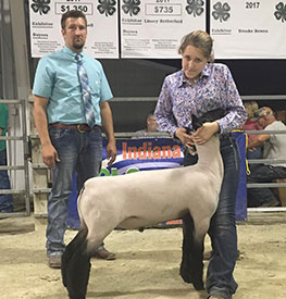 Steva Robinson Show Stock Winners
