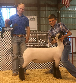 Steva Robinson Show Stock Winners