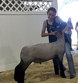 Steva Robinson Show Stock Winners