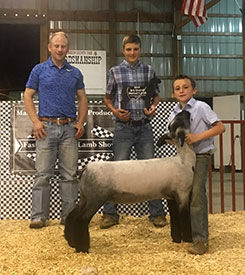 Steva Robinson Show Stock Winners