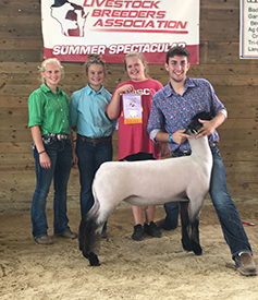 Steva Robinson Show Stock Winners