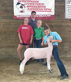 Steva Robinson Show Stock Winners
