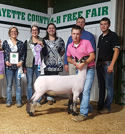Steva Robinson Show Stock Winners